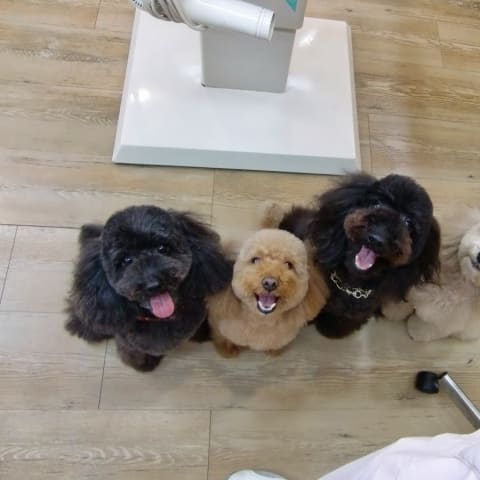 店舗の写真