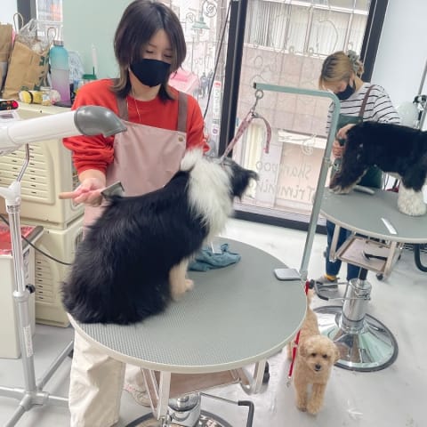店舗の写真