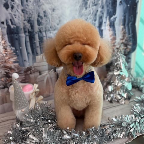 店舗の写真