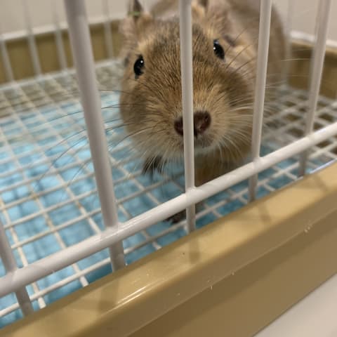 店舗の写真