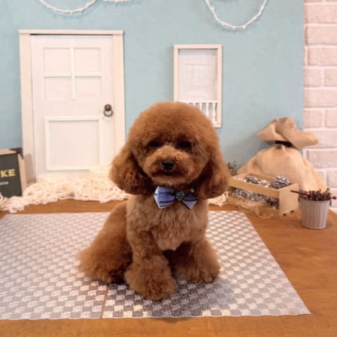 店舗の写真