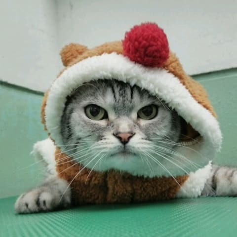 店舗の写真