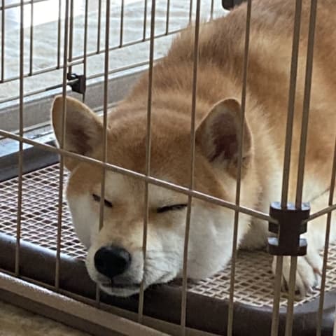店舗の写真