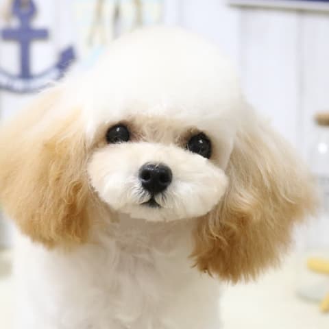 店舗の写真
