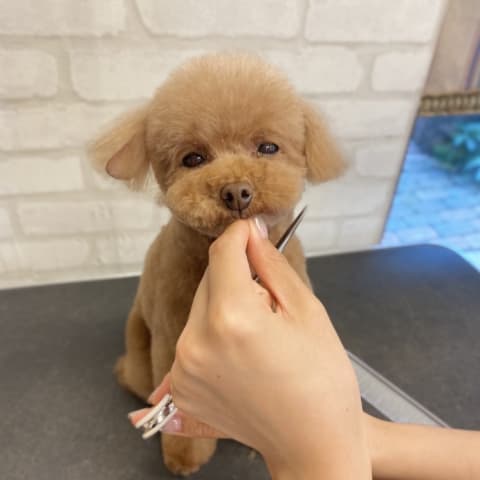 店舗の写真