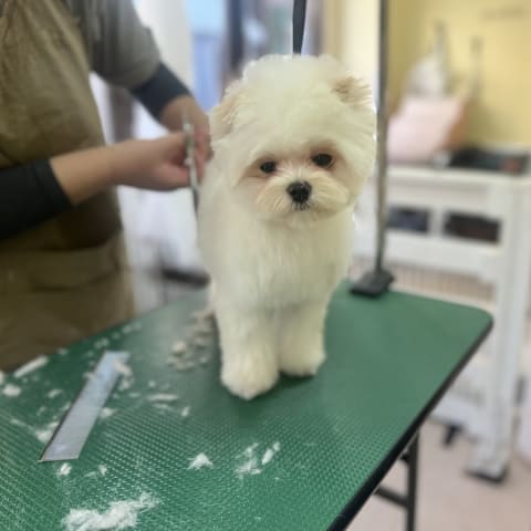 店舗の写真