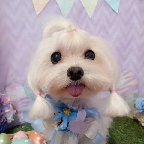 店舗の写真