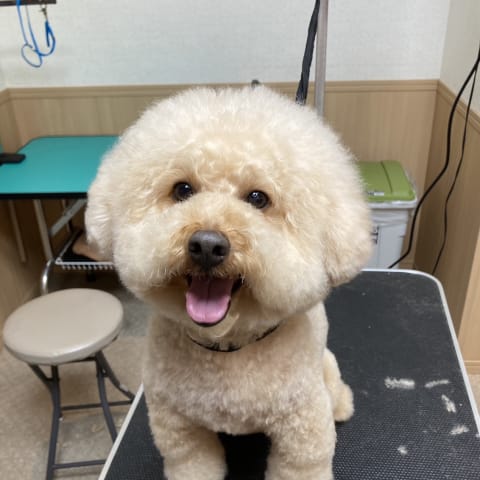 店舗の写真