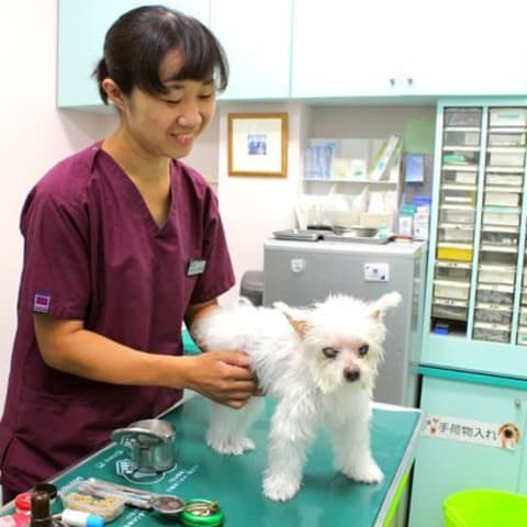 店舗の写真