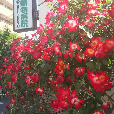 店舗の写真