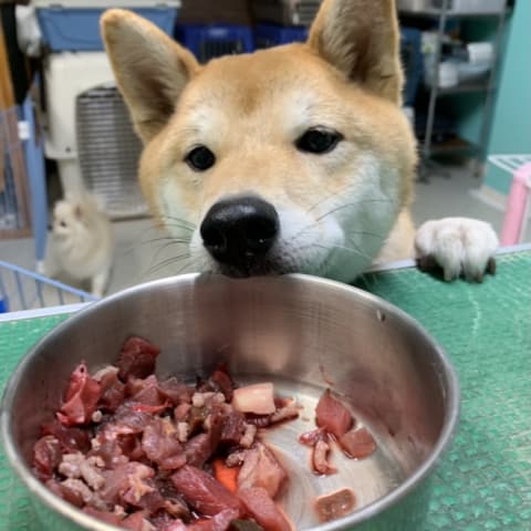 店舗の写真