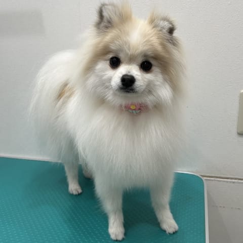 店舗の写真