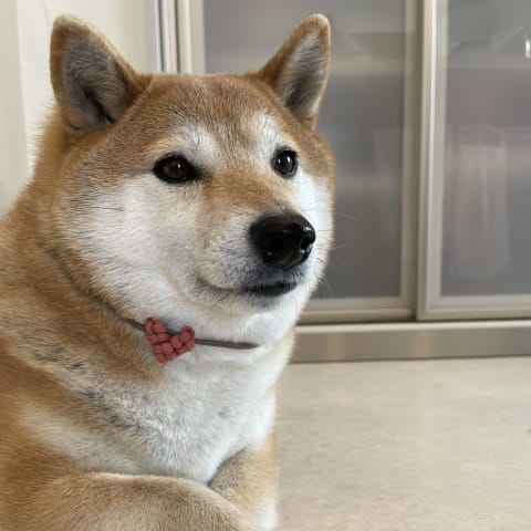 店舗の写真