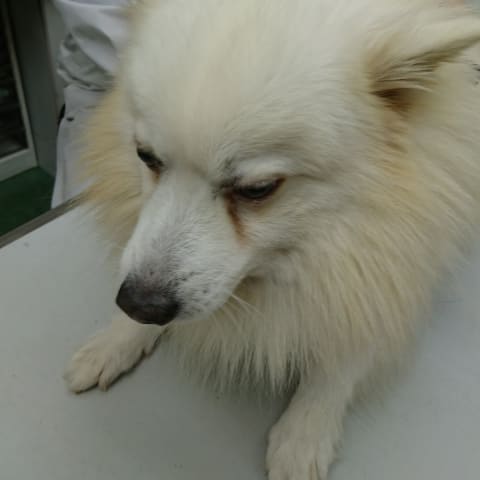 店舗の写真
