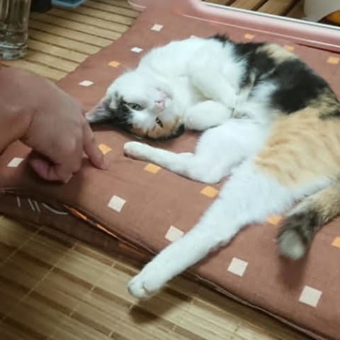 店舗の写真
