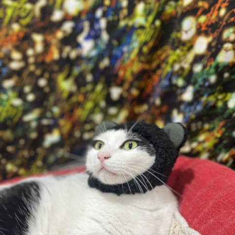 店舗の写真