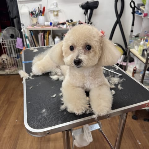 店舗の写真