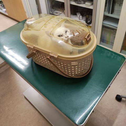 店舗の写真