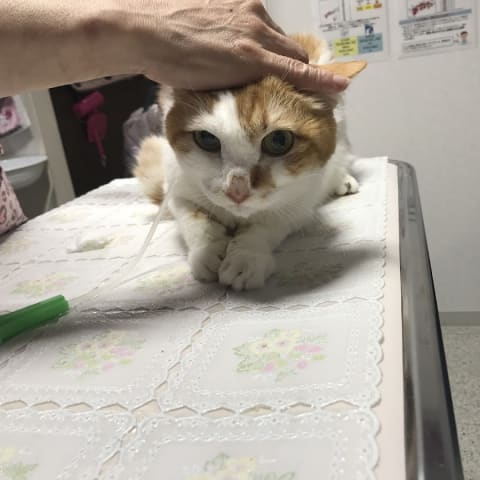 店舗の写真