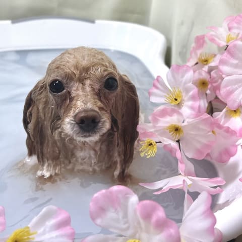 店舗の写真