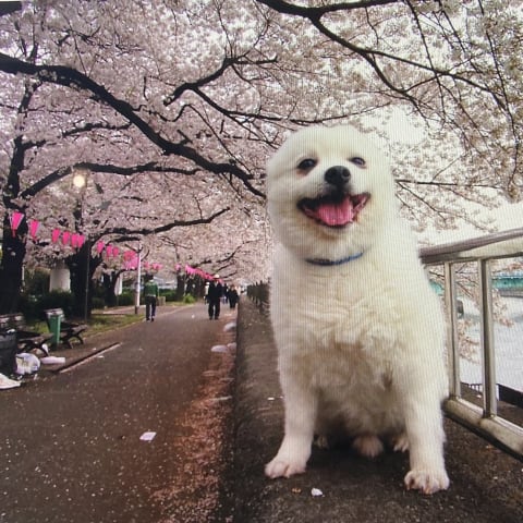 店舗の写真