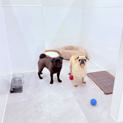 店舗の写真