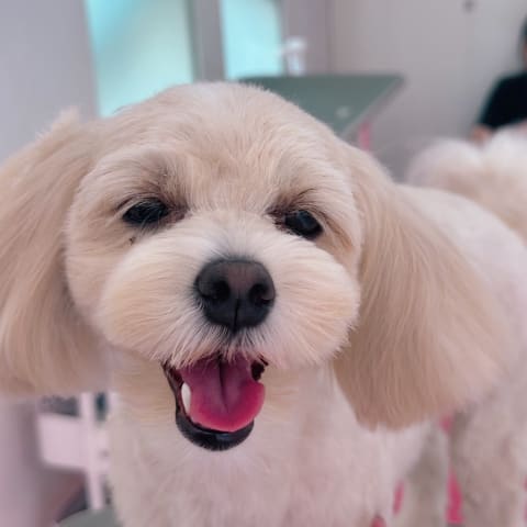 店舗の写真