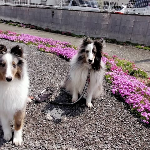 店舗の写真