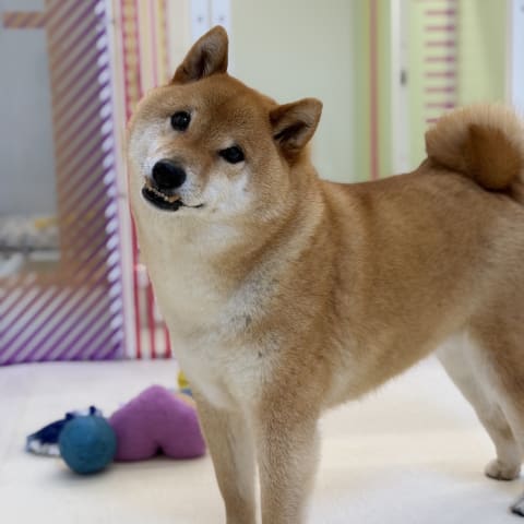 店舗の写真