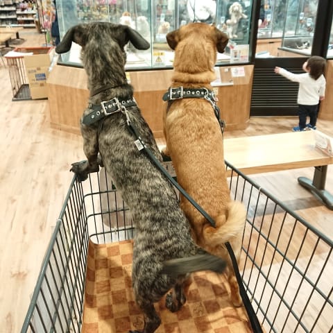 店舗の写真