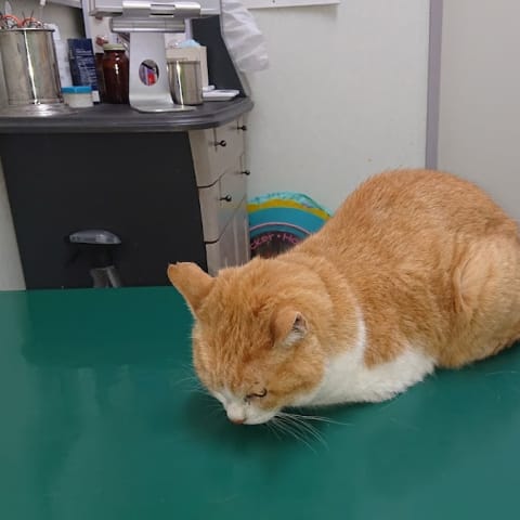 店舗の写真