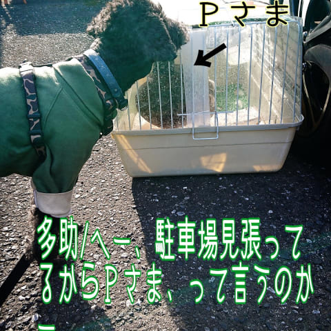 店舗の写真