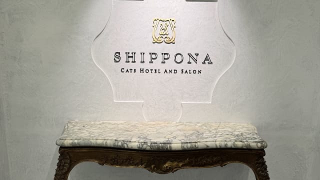 SHIPPONA CATS HOTEL AND SALON