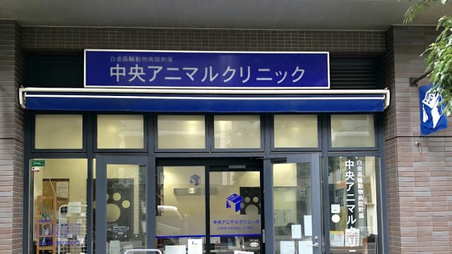 東京中央動物医療センター