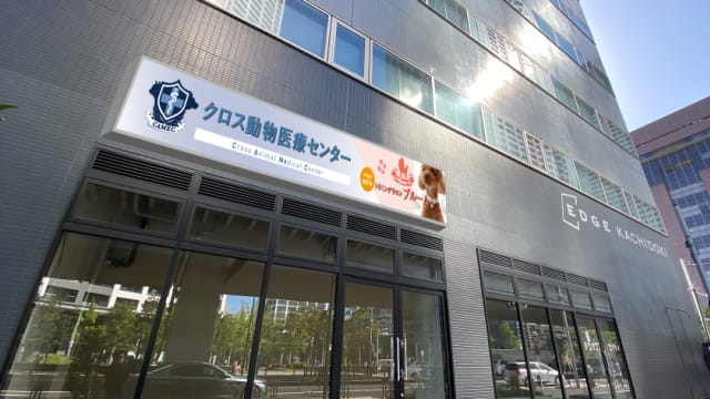 トリミングサロンブルーム勝どき店 Trimming Salon Blume Kachidoki