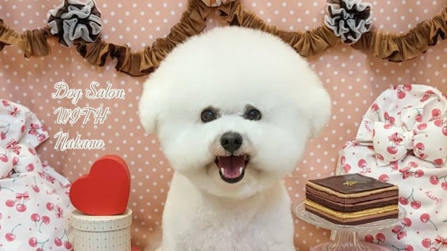 ドッグサロンWITH(ウィズ)中野店