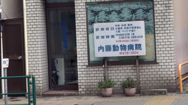 内藤動物病院