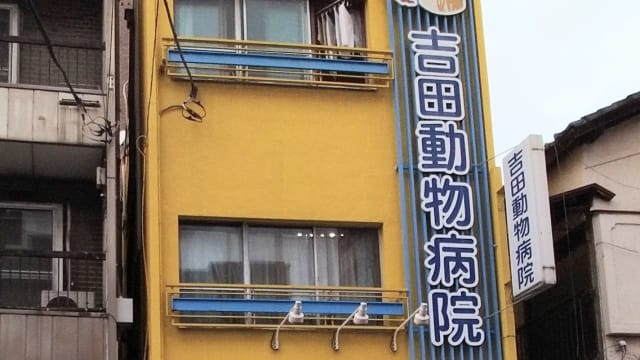 吉田動物病院