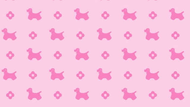 PET SALON KUMIKO
