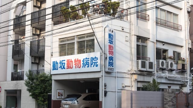 動坂動物病院