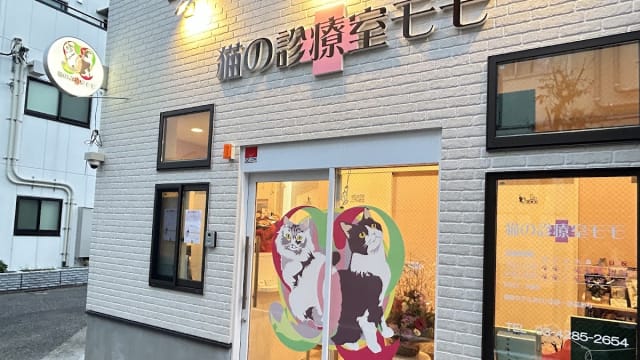 猫の診療室モモ