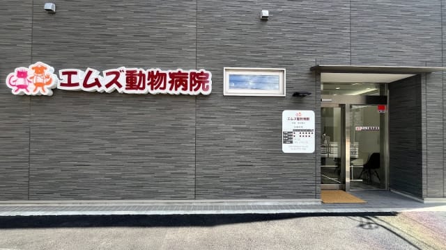 エムズ動物病院