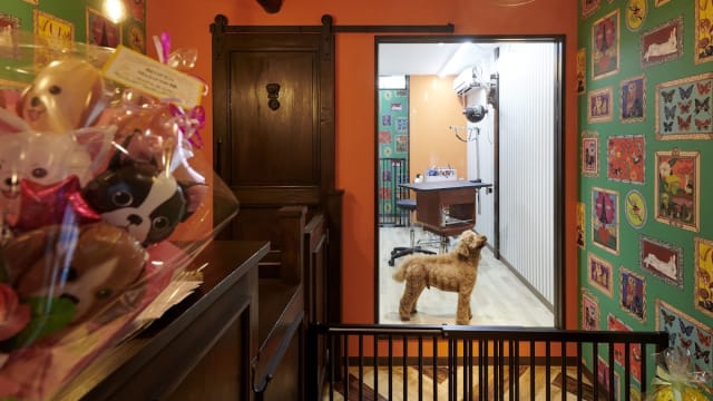 Majoram dog grooming salon