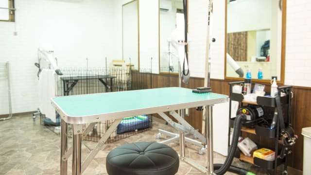 dog salon R-DOGS