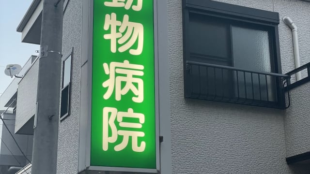 高橋動物病院