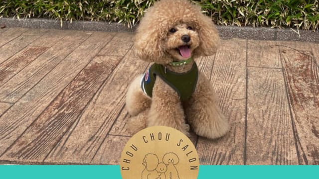 Chou Chou Pet Salon