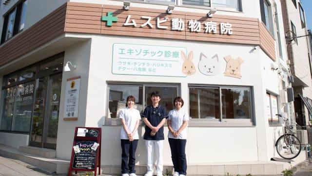 ムスビ動物病院