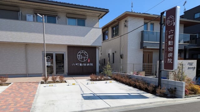 六町動物病院