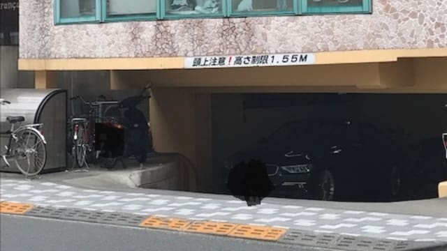 あきペットクリニック