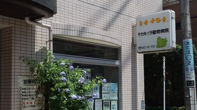 サカキバラ動物病院